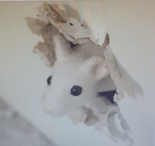 PARIS - Œuvres in situ