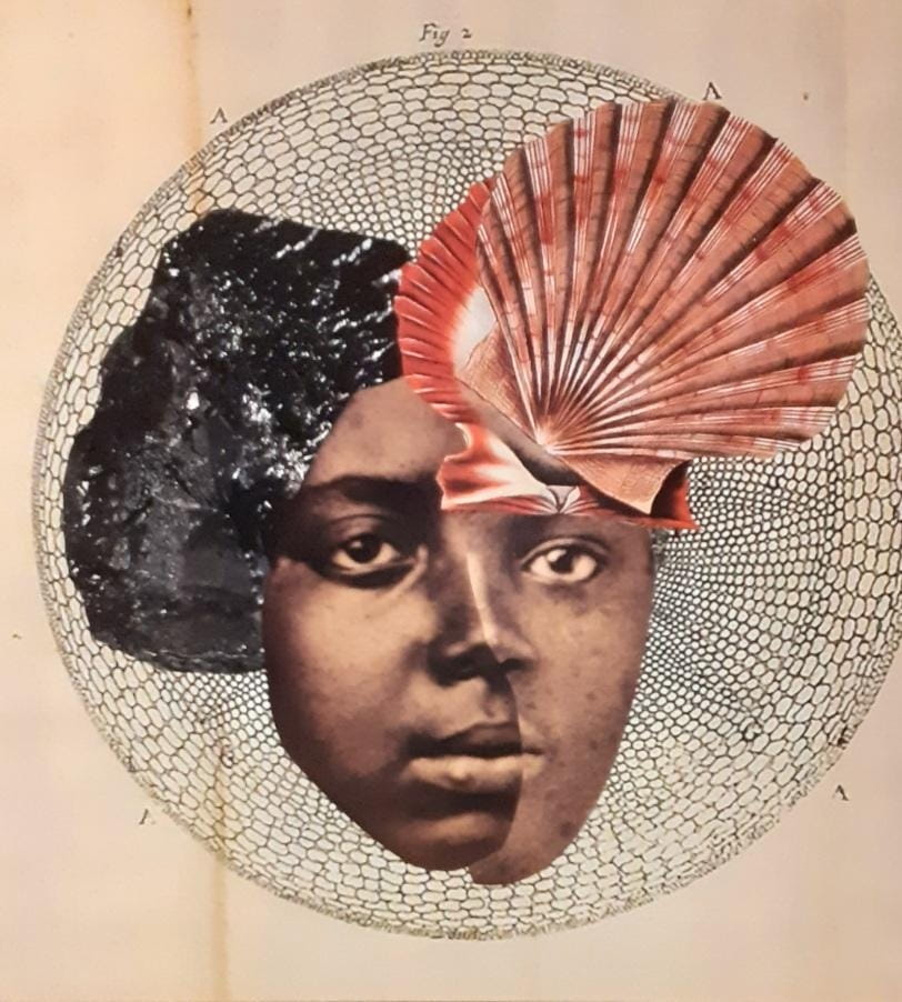 SAN SEBASTIAN - Amazonies. Le futur ancestral