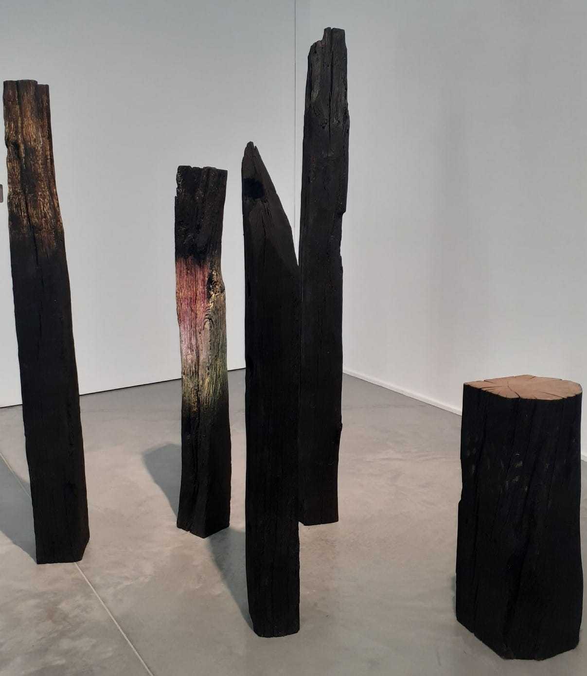 ANGLET - "La part du feu" de Claire Forgeot