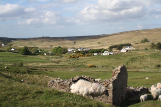 Voyage   L’Irlande