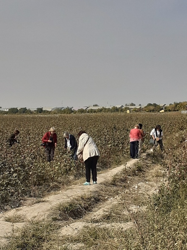 Voyage Circuit Culturel en OUZBEKISTAN